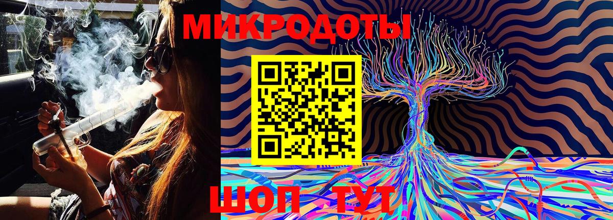 Галлюциногенные грибы Psilocybe  Вход с VPN  Псилоцибиновые грибы Psilocybe  дарнет шоп  Каменка 