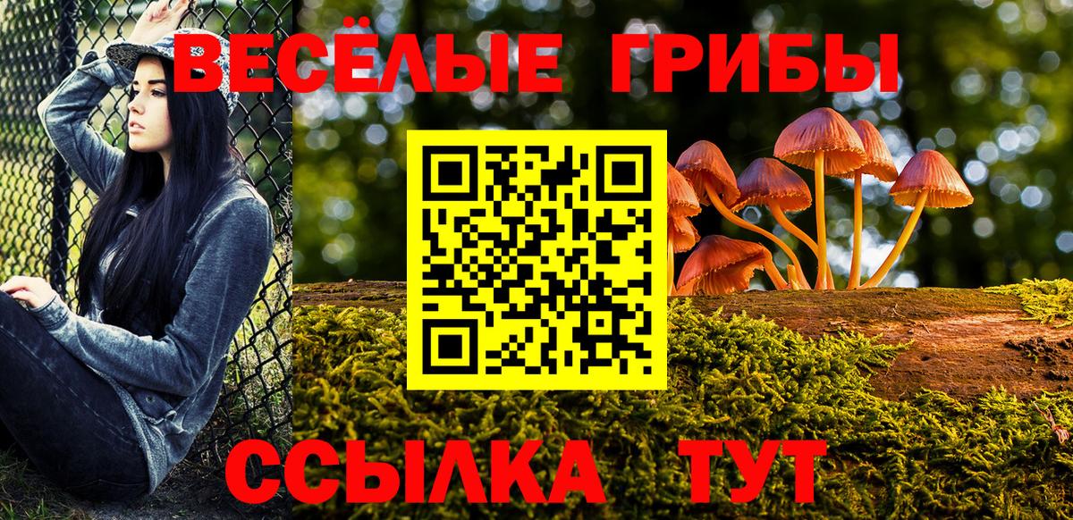 Галлюциногенные грибы GOLDEN TEACHER Каменка